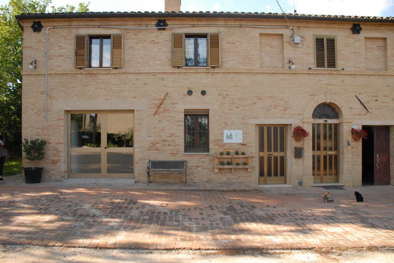 Fattoria Nonno Neno B&B Appignano  Exterior photo