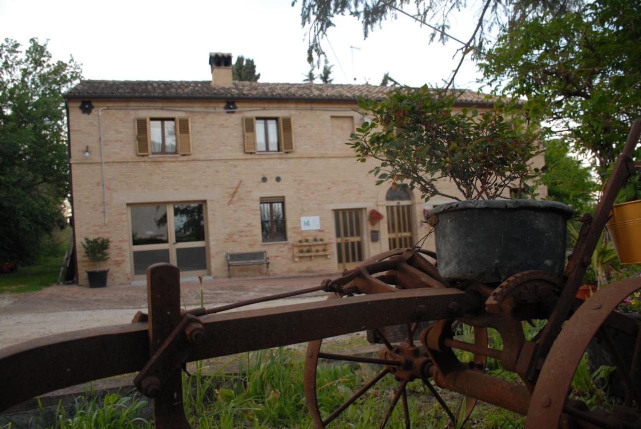 Fattoria Nonno Neno B&B Appignano  Exterior photo